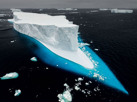 Paul Nicklen - Born to Ice!